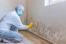 Mold Removal & Remediation